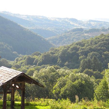 Domaine Du Randier Villa Ferrieres-sur-Sichon Bagian luar foto